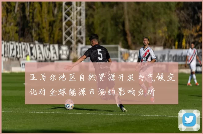 亚马尔地区自然资源开发与气候变化对全球能源市场的影响分析
