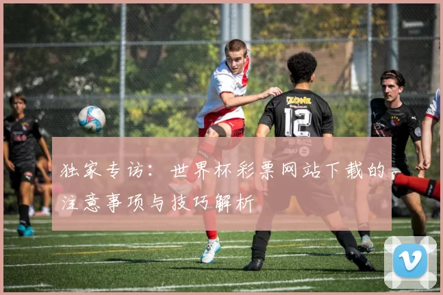 独家专访:世界杯彩票网站下载的注意事项与技巧解析