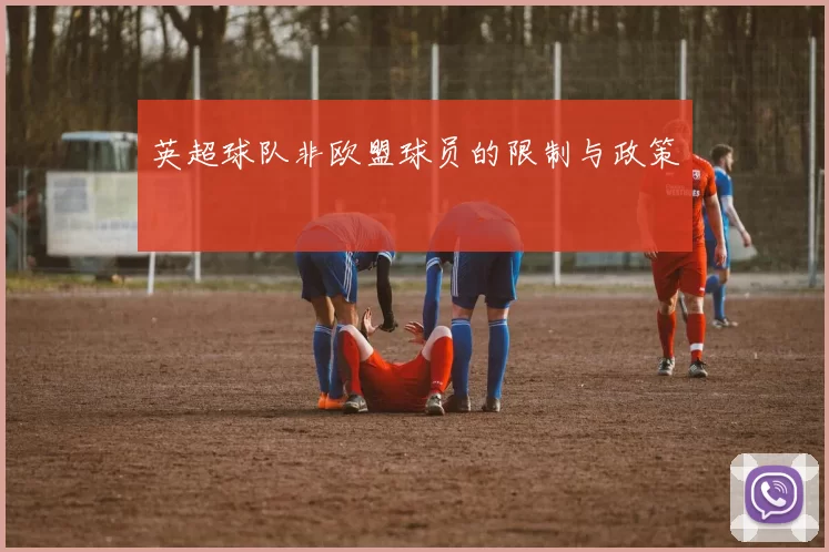 英超球队非欧盟球员的限制与政策