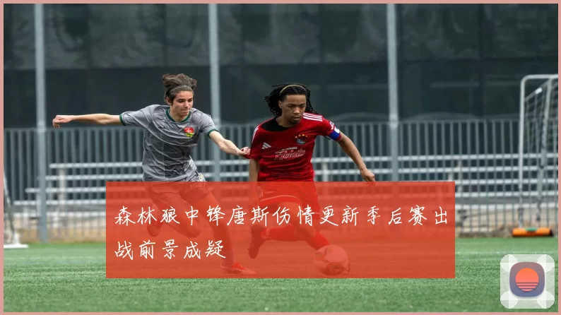 森林狼中锋唐斯伤情更新季后赛出战前景成疑