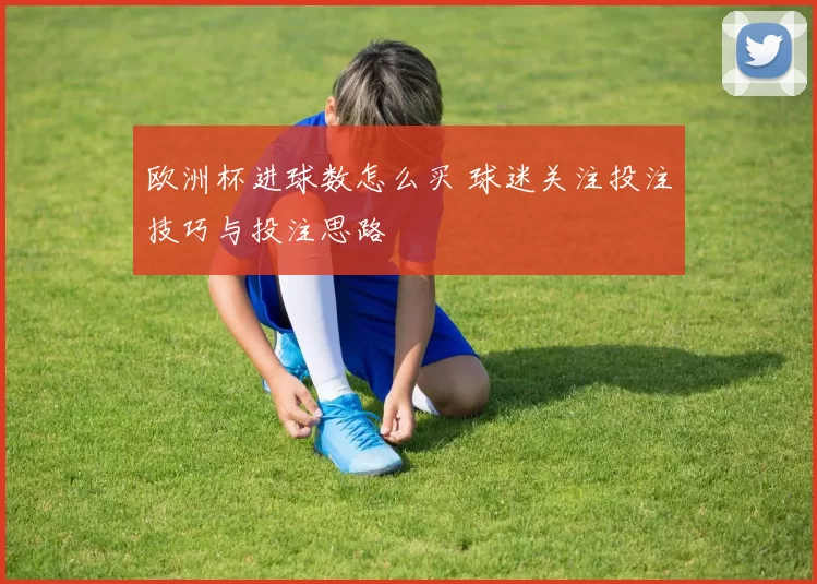 欧洲杯进球数怎么买 球迷关注投注技巧与投注思路
