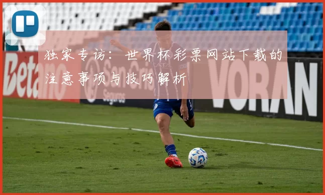 独家专访：世界杯彩票网站下载的注意事项与技巧解析