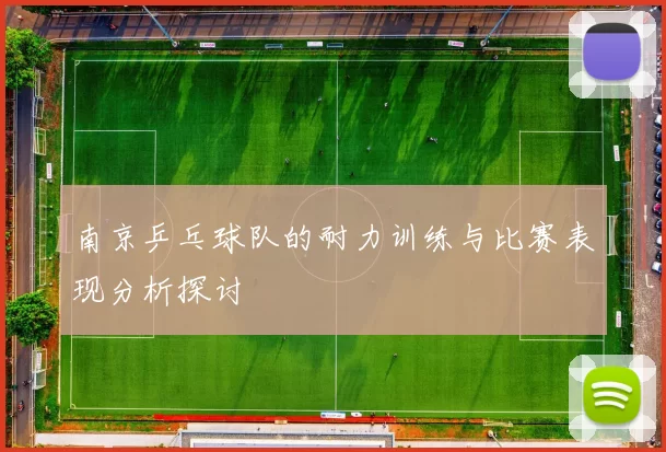 南京乒乓球队的耐力训练与比赛表现分析探讨