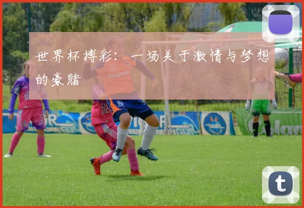 世界杯搏彩:一场关于激情与梦想的豪赌