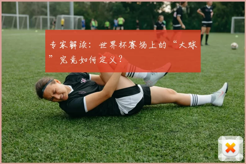 专家解读：世界杯赛场上的“大球”究竟如何定义？