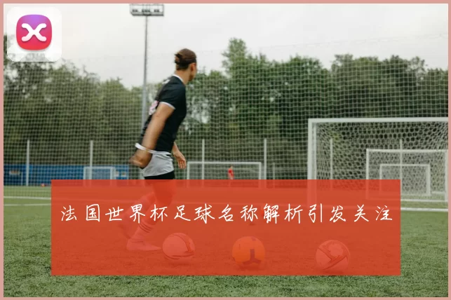 法国世界杯足球名称解析引发关注