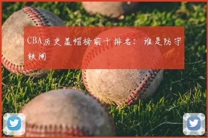 CBA历史盖帽榜前十排名：谁是防守铁闸