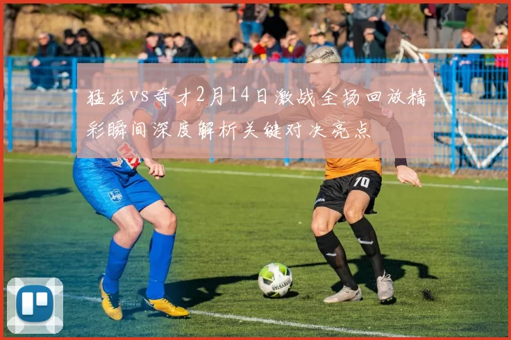 猛龙vs奇才2月14日激战全场回放精彩瞬间深度解析关键对决亮点