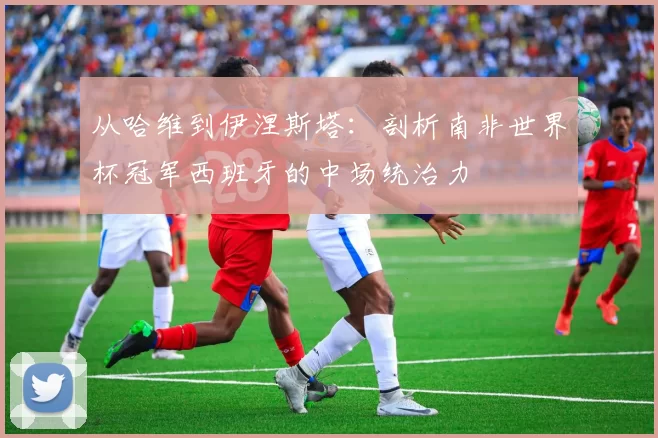 从哈维到伊涅斯塔：剖析南非世界杯冠军西班牙的中场统治力