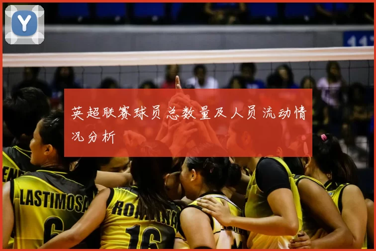 英超联赛球员总数量及人员流动情况分析