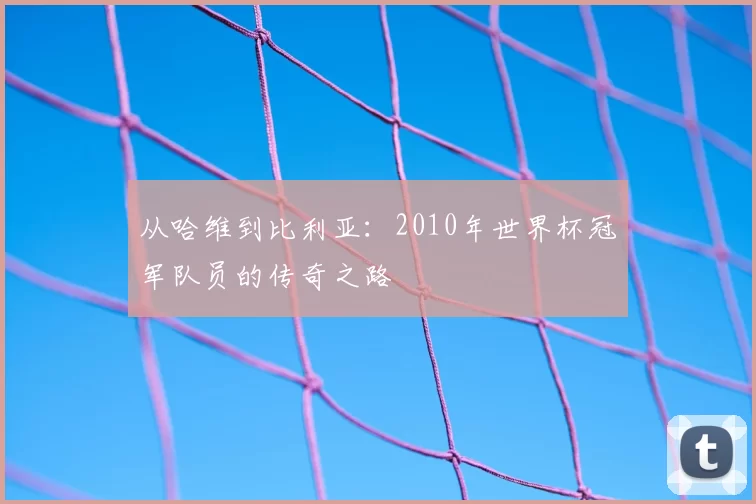 从哈维到比利亚:2010年世界杯冠军队员的传奇之路